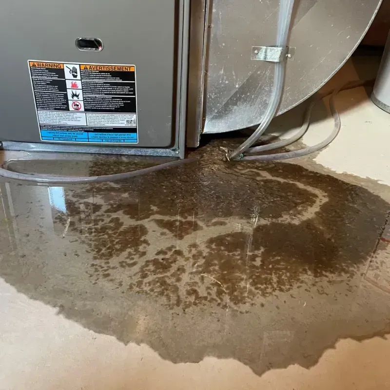 Appliance Leak Cleanup in Dyersville, IA